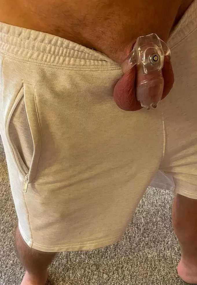 permanently in the cage, submissive and obedient...can I be your cuckold?🥰