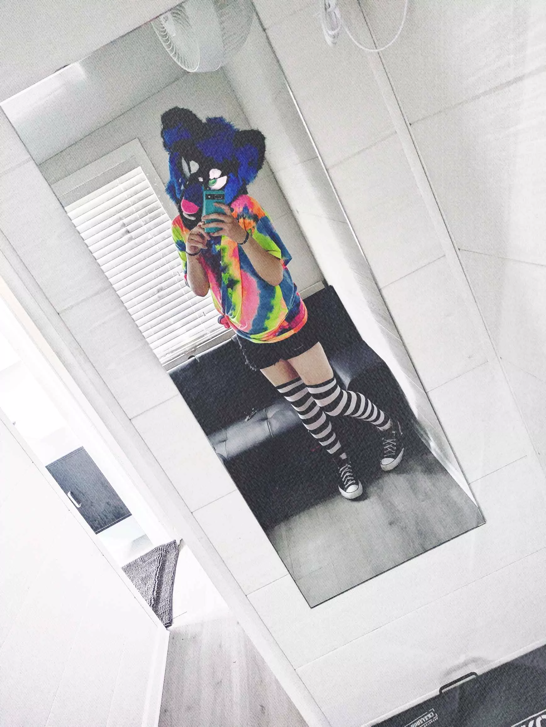 Random fursuit picture I took :S