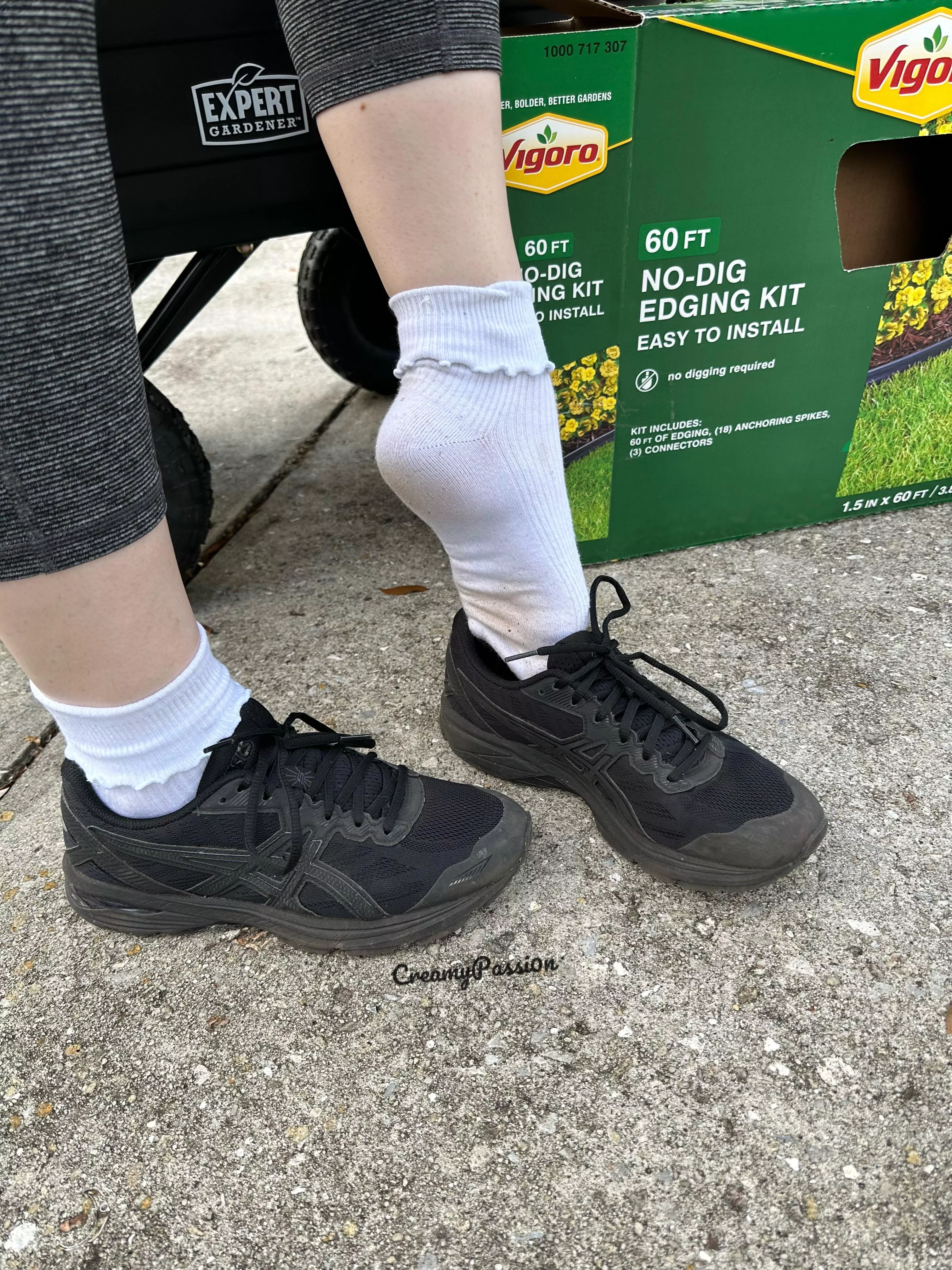 [selling] Yard work socks! I wore these while doing my yard work do you want to smell or taste them?