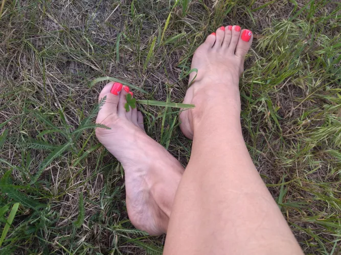 Soft grass caresses my soles, but it could be your hot lips.