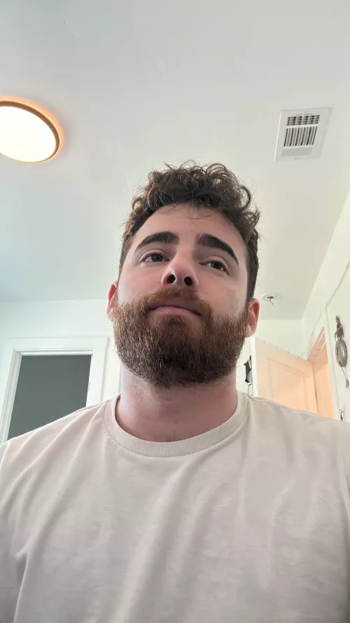 The post trip work email face