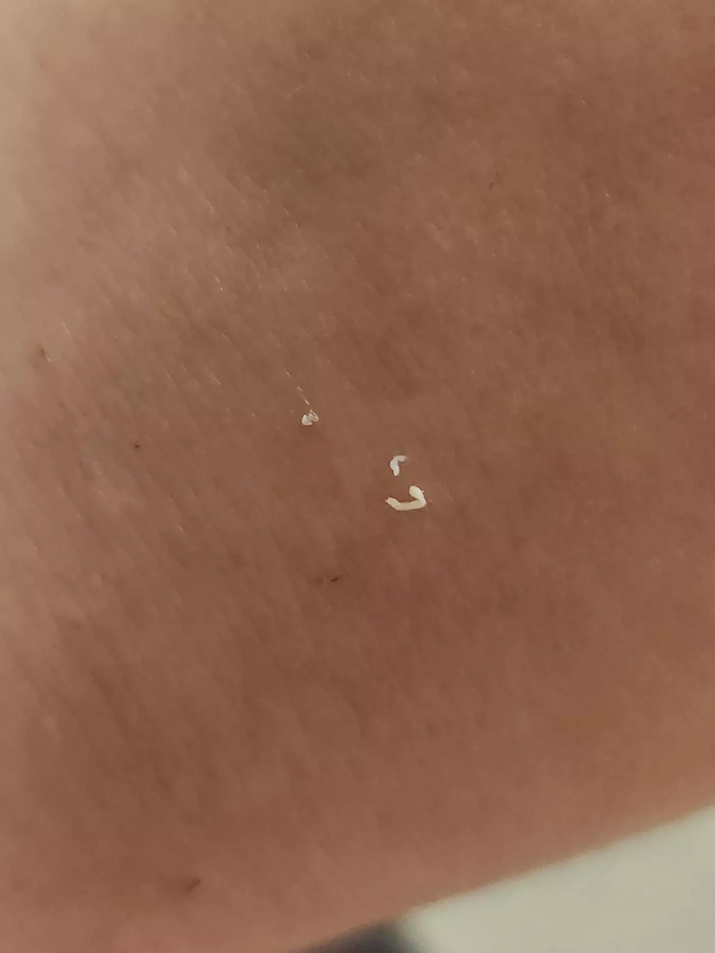 This one made a noise....