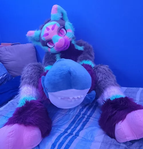 Can I offer a Blahaj in this trying time?