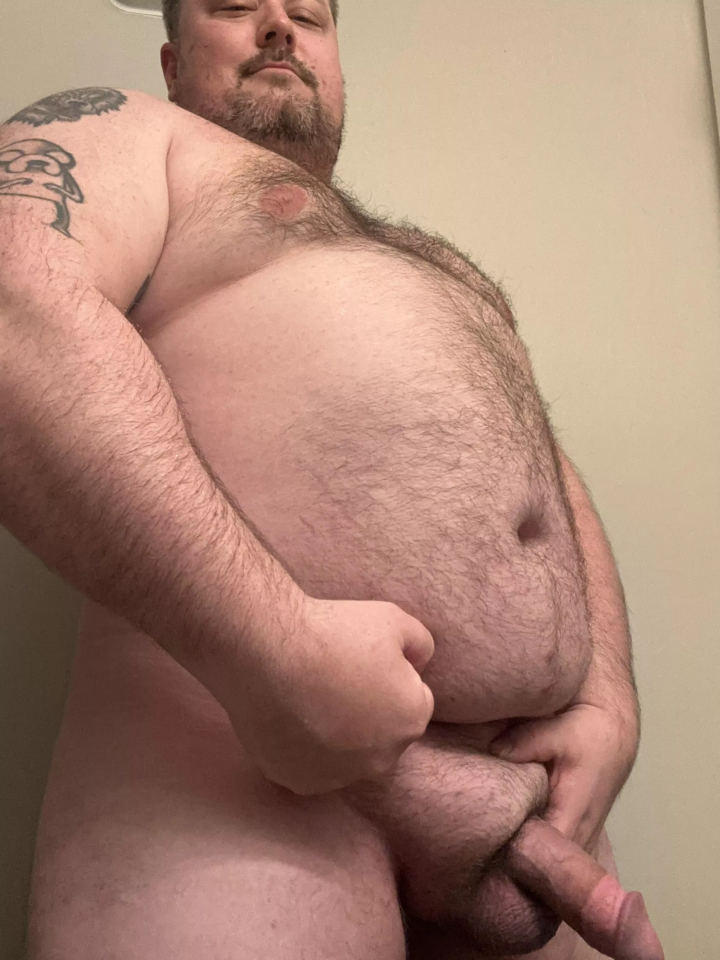 Cocks out for Wednesday