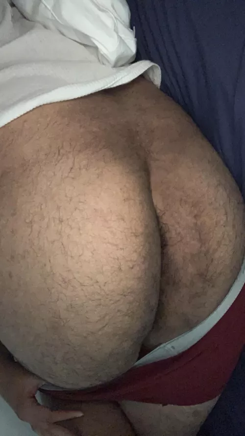 Good morning. Grab a handful of some hairy ass to start your day?