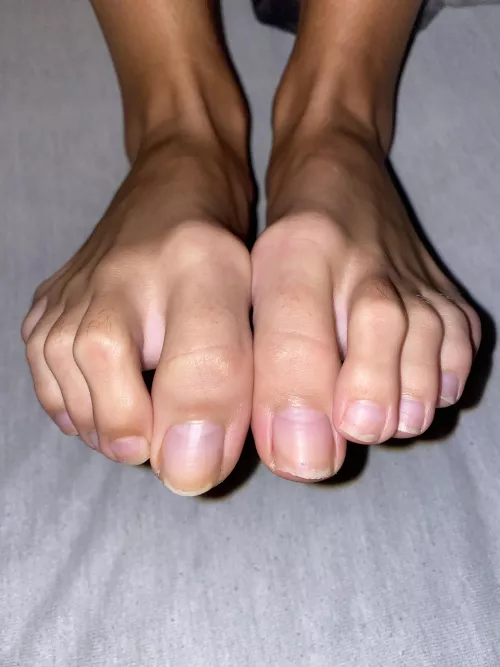 If I told you to stop licking them would you stop?🤔