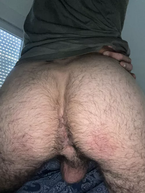 Is it hairy enough?