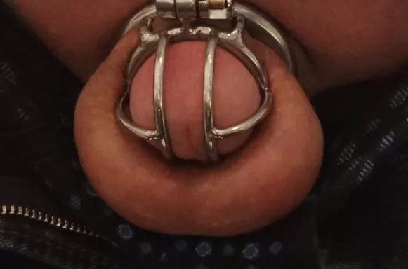 May I please change into a larger cage?