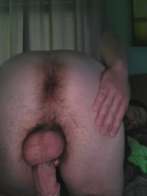 Pound my hairy butt