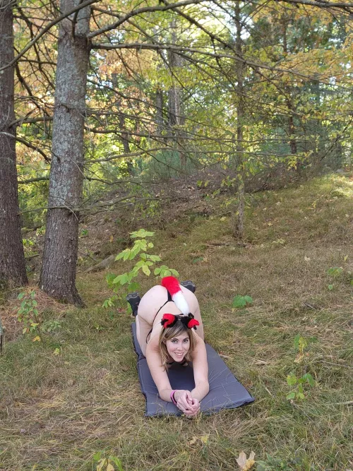 tail up that means i'm ready for you