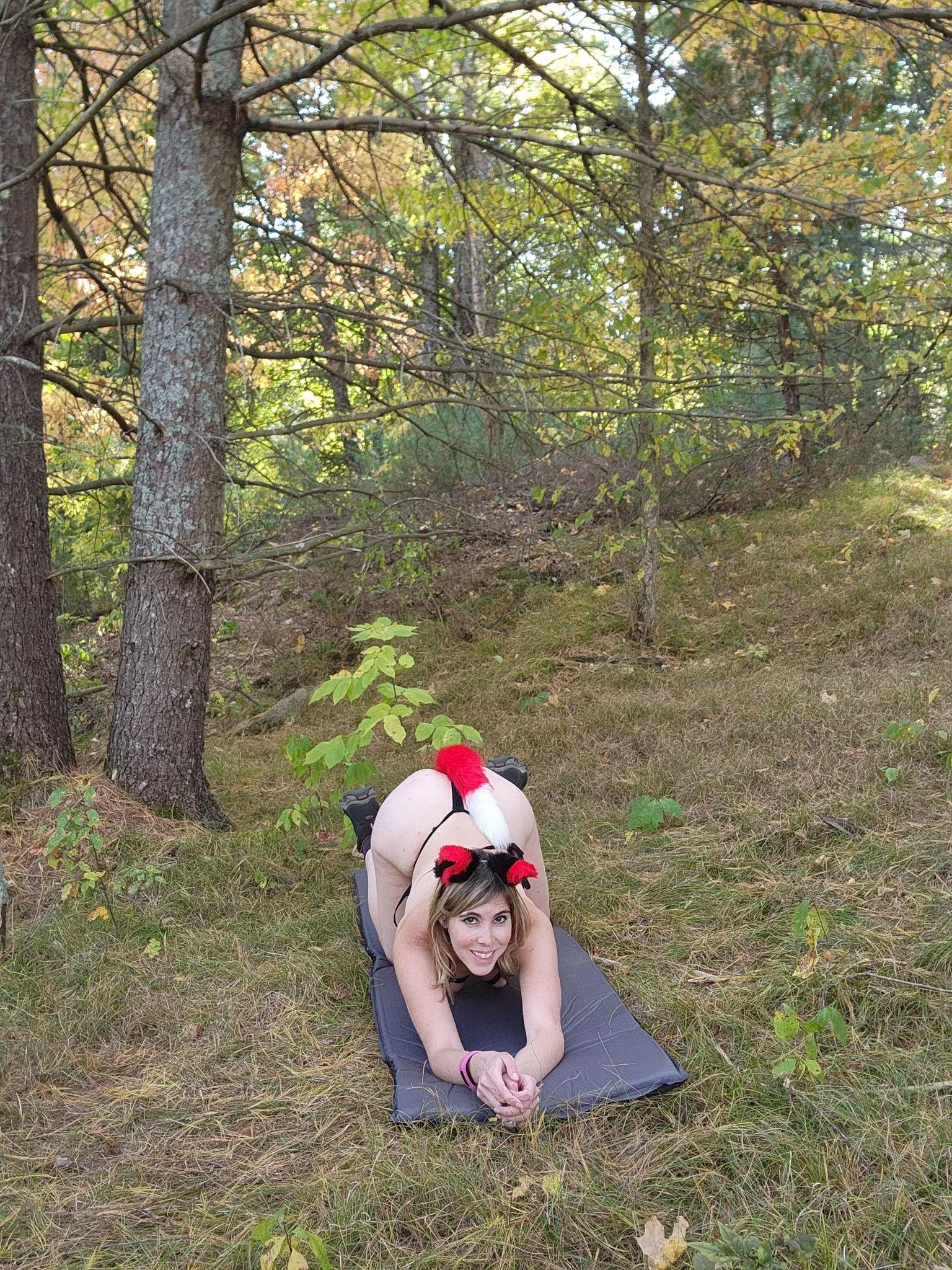 tail up that means i'm ready for you