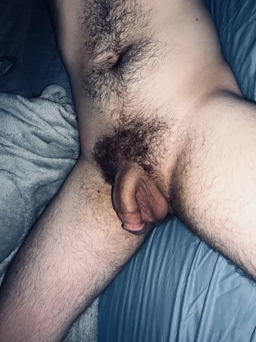 Where’s the bush lovers?