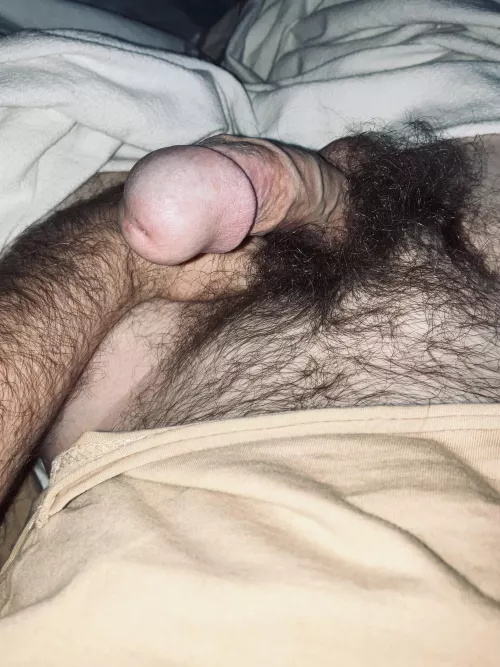 Who’s into hairy with fat 🍆?