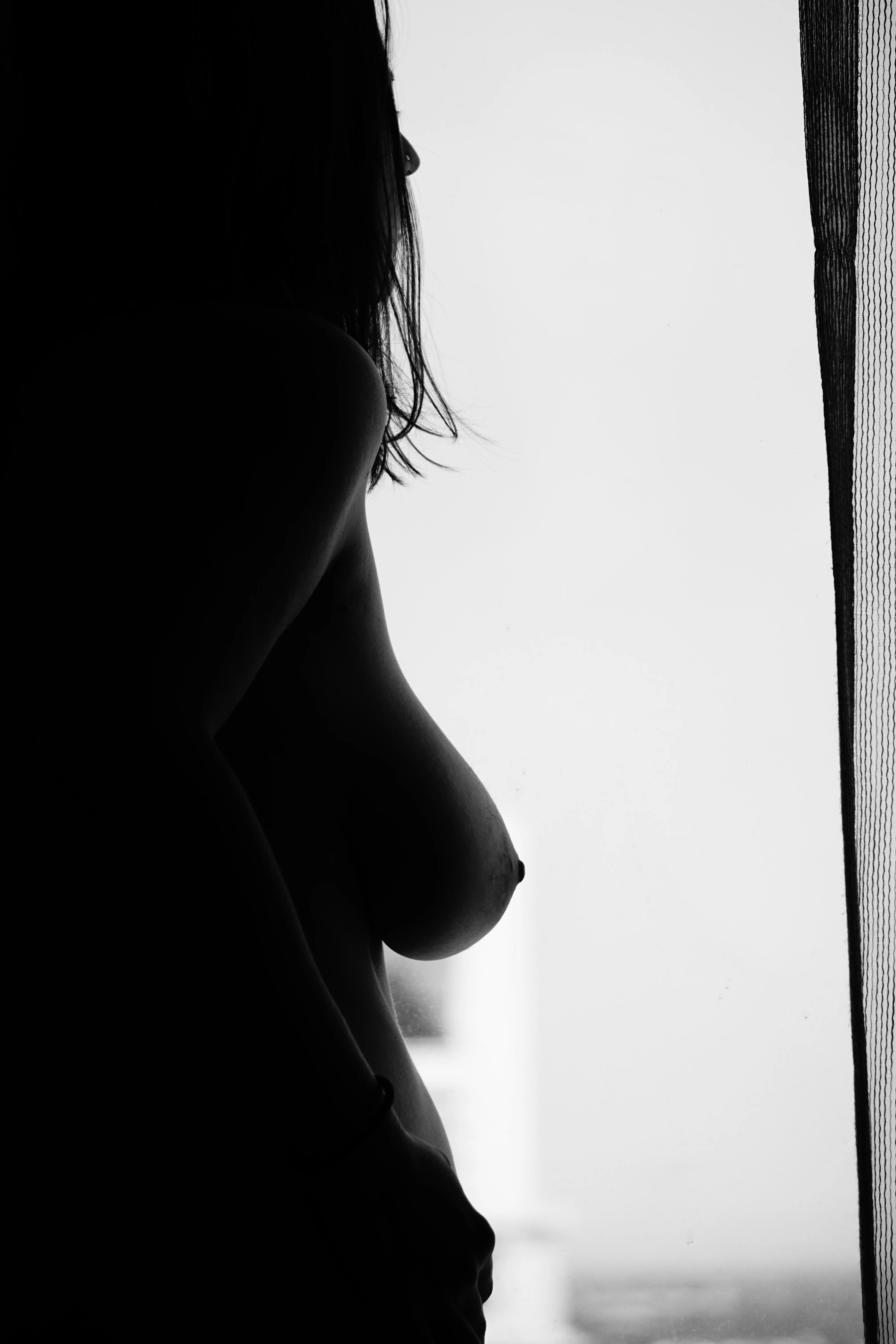 Window of the Flamingo Hotel