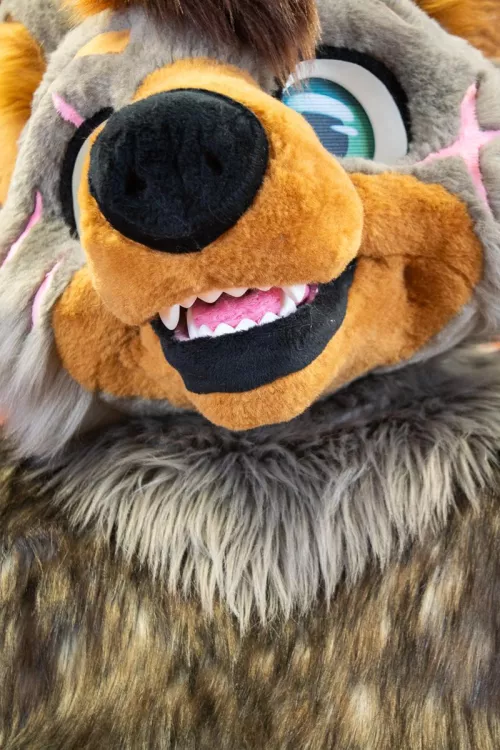 Fursuit Friday the 13th