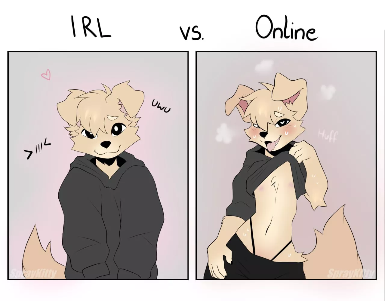 IRL vs ONLINE (spraykitty)