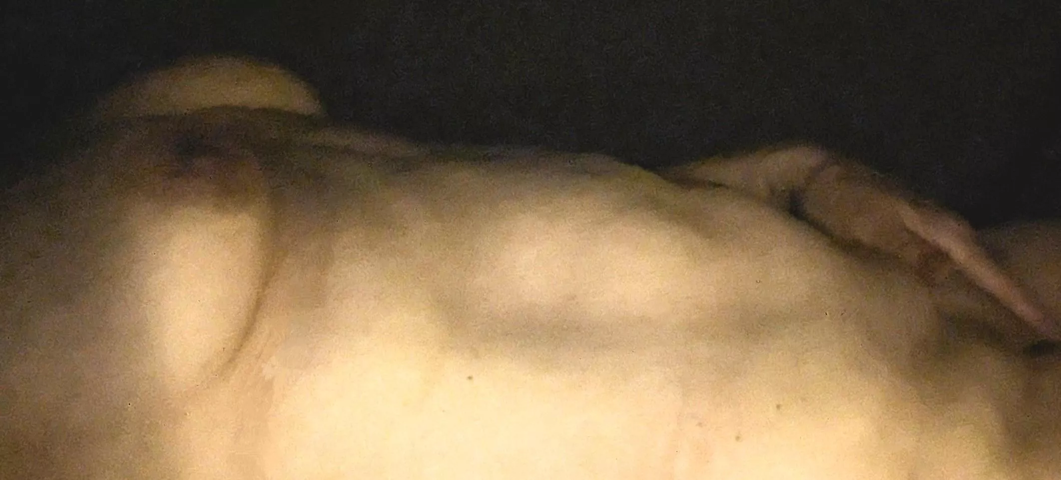 Painted in oils: edited photo