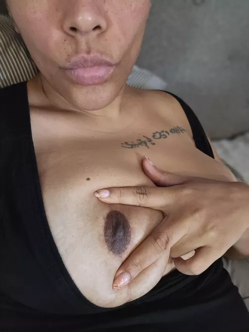 Peekaboo I’ll breed you