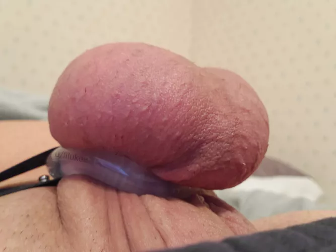 Porn on full blast and getting teased at the same time, balls getting squeezed and straining in the nub as I'm trying to get hard 🥵 I just want to get let out! But it feels soo amazing!!