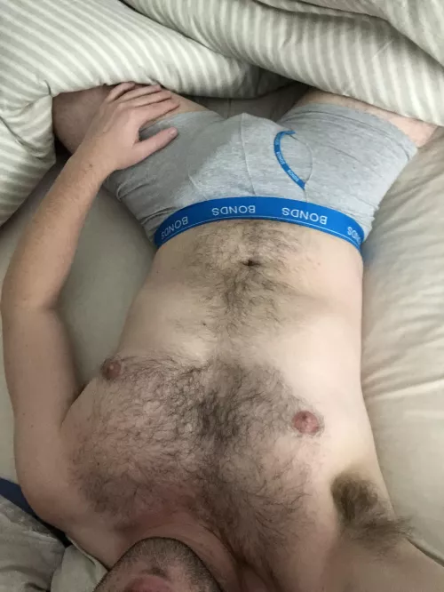 Relaxing and admiring bears