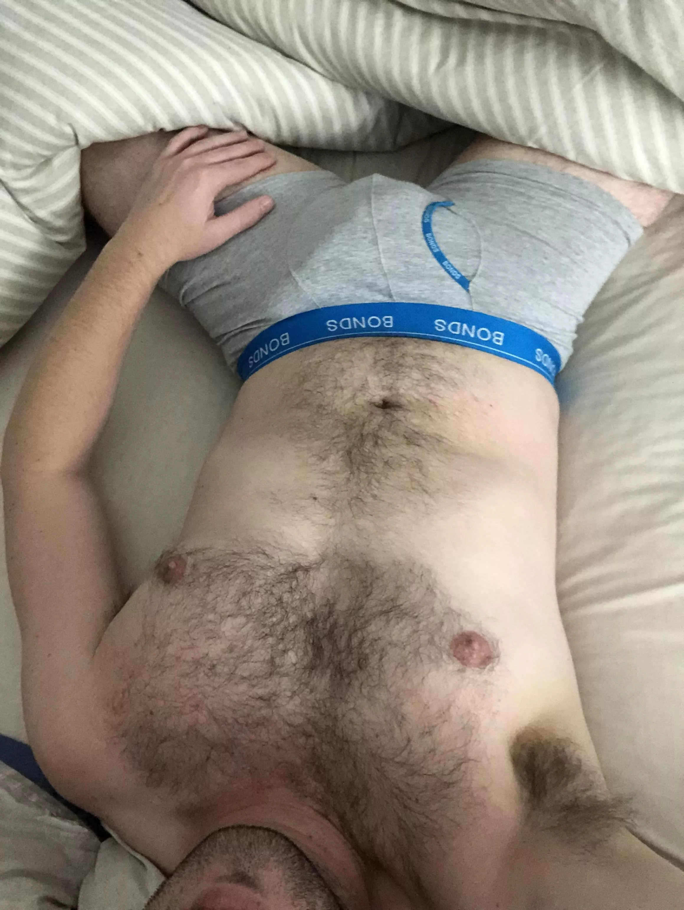 Relaxing and admiring bears