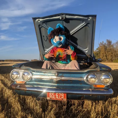 When your car matches your fursuit