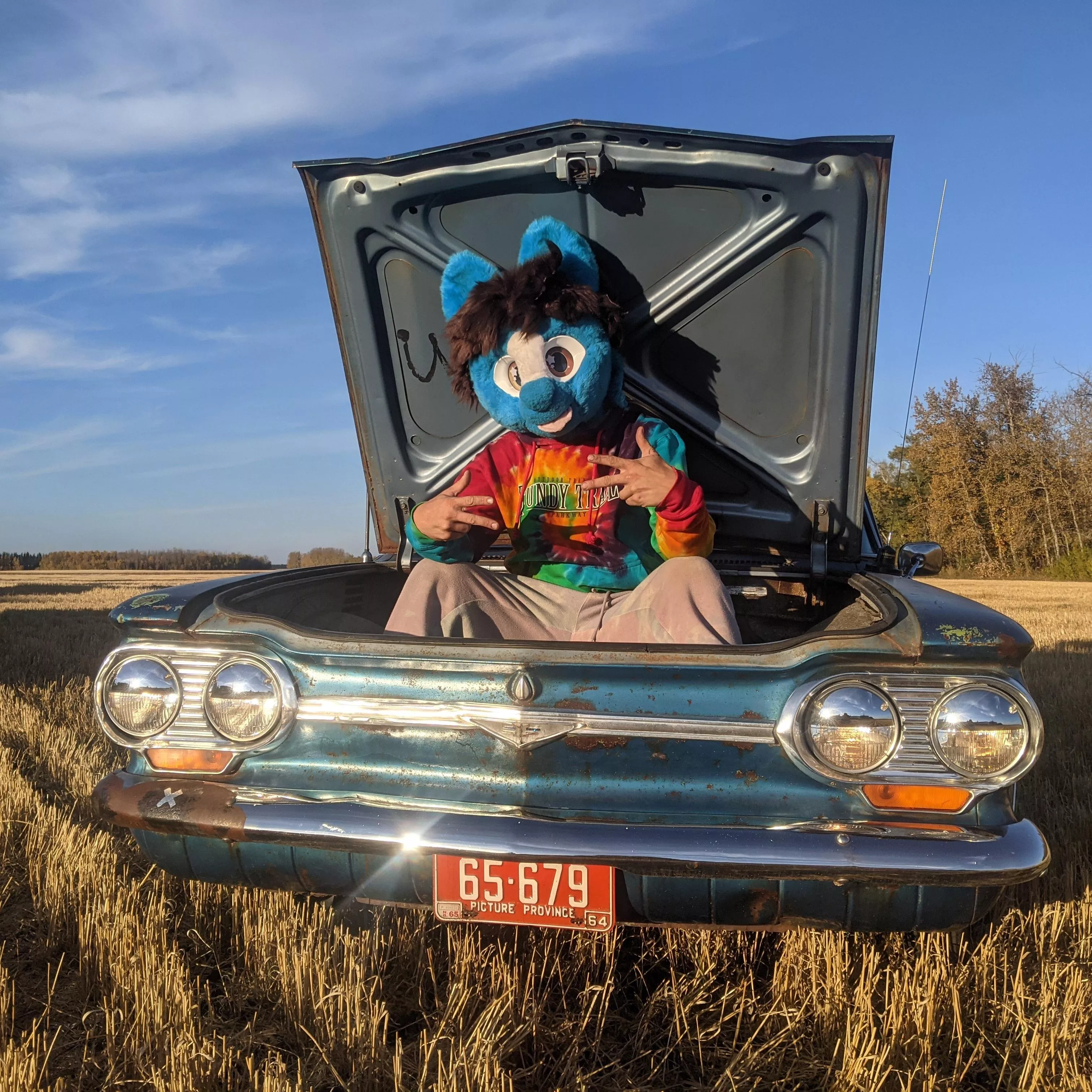 When your car matches your fursuit
