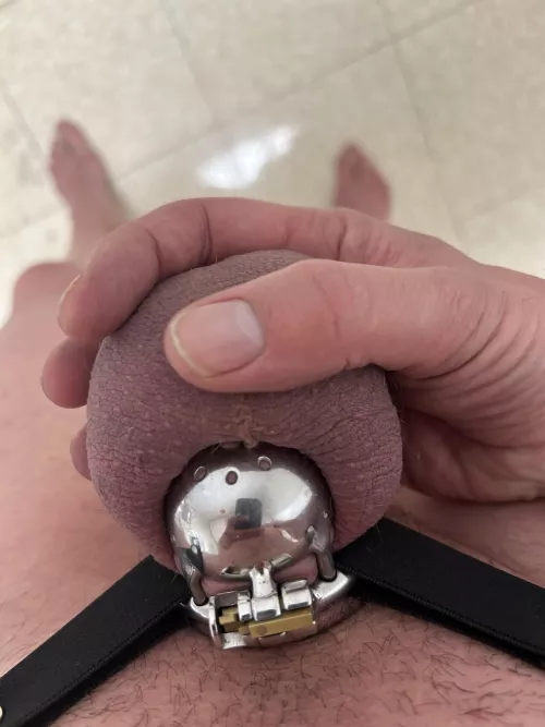 28 days locked now. Locktober started early.