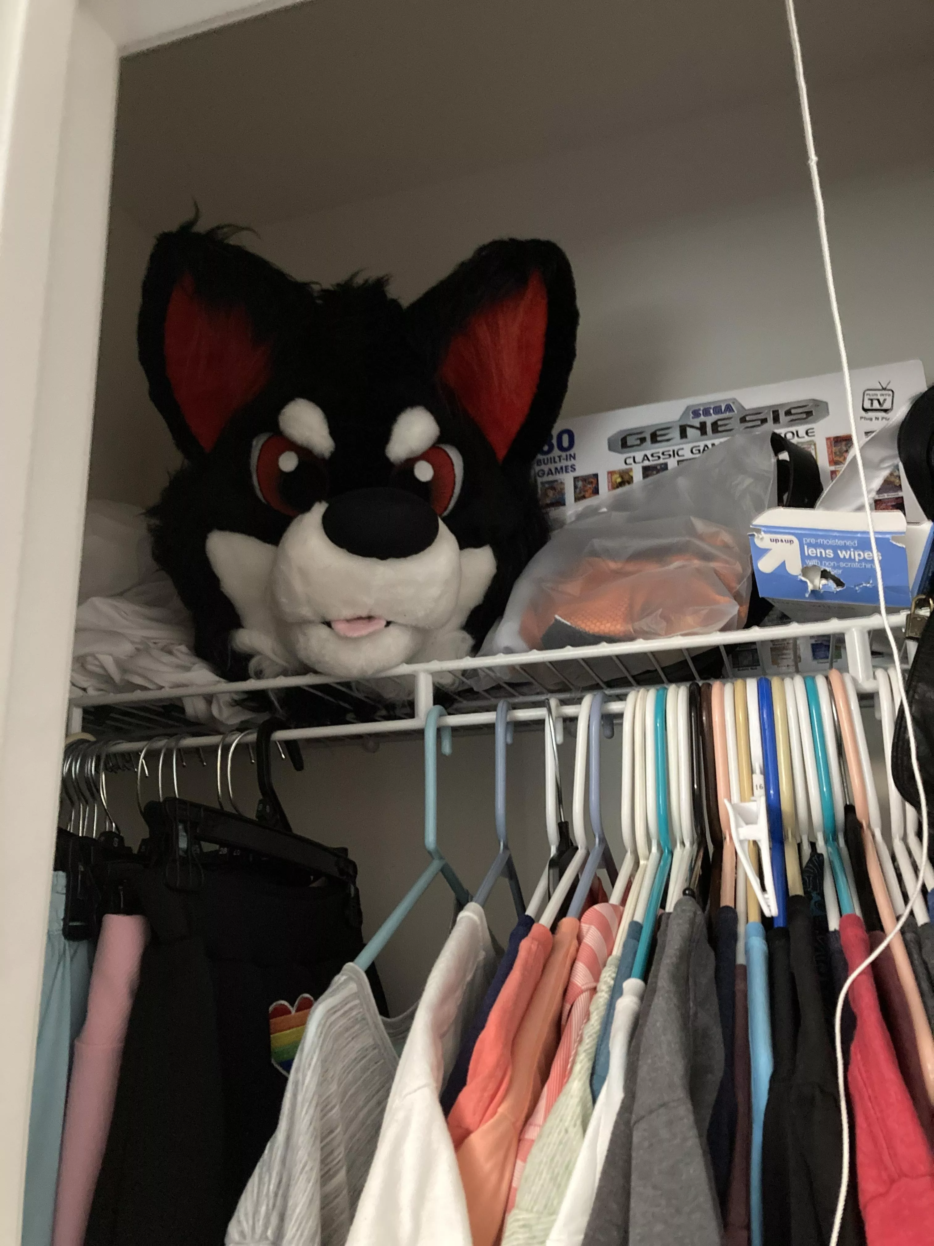 Best way to store a fursuit???