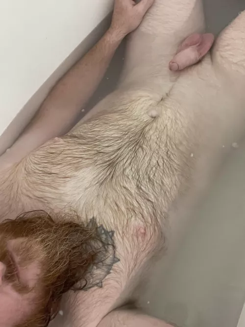 Bit of gray making is way through the crowd