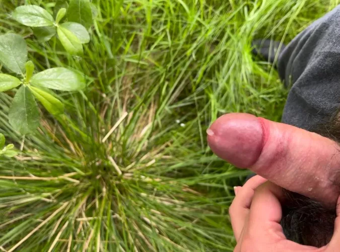 Cum outdoors. 31 bi.