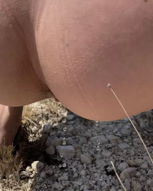 dribbles in the desert