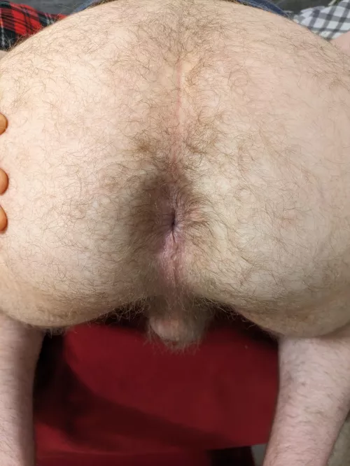 Got Pegged Last Night. Celebrating By Sharing My Ass