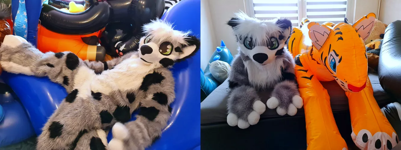 Happy FursuitFriday cutes. This time just chilling with some cuties <3