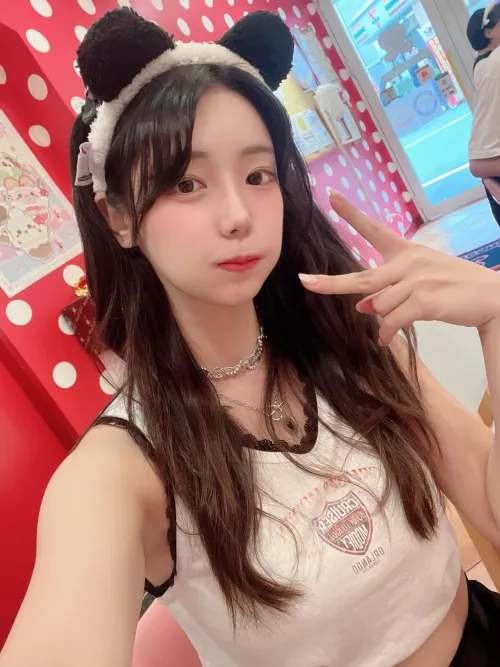 maybe you're into little bears who likes headpats :33