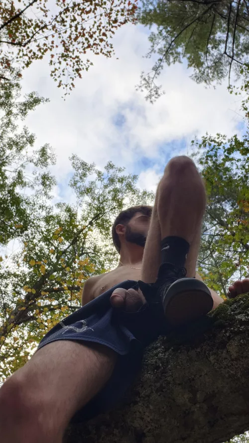 Meet me in the woods? 22