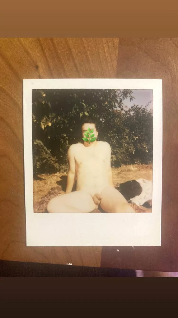 Polaroids in the sun