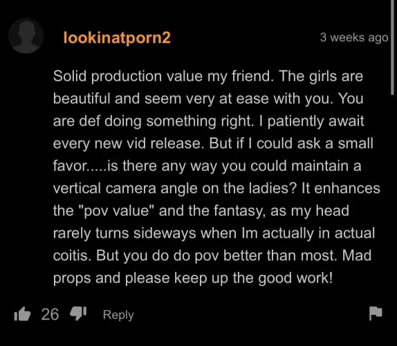 Porn critic