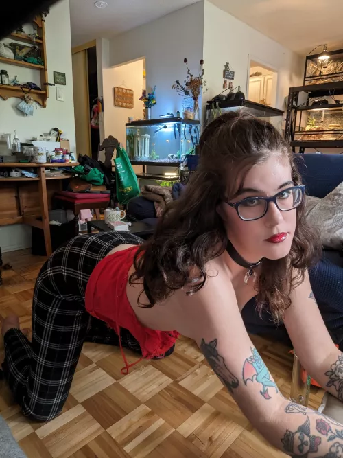 Can I distract you from your game?