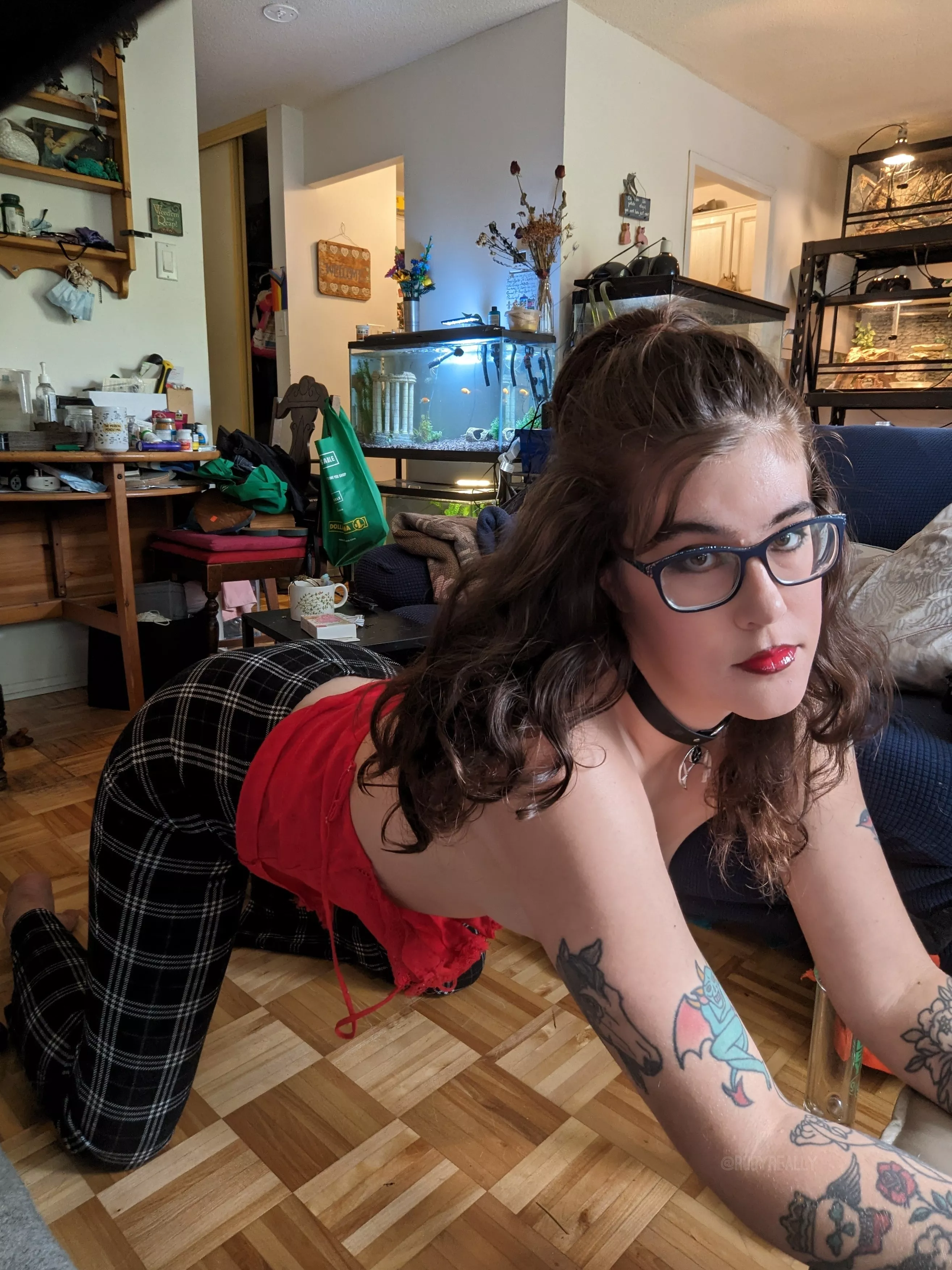 Can I distract you from your game?