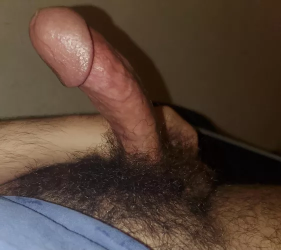 Do you prefer hairy or shaved?