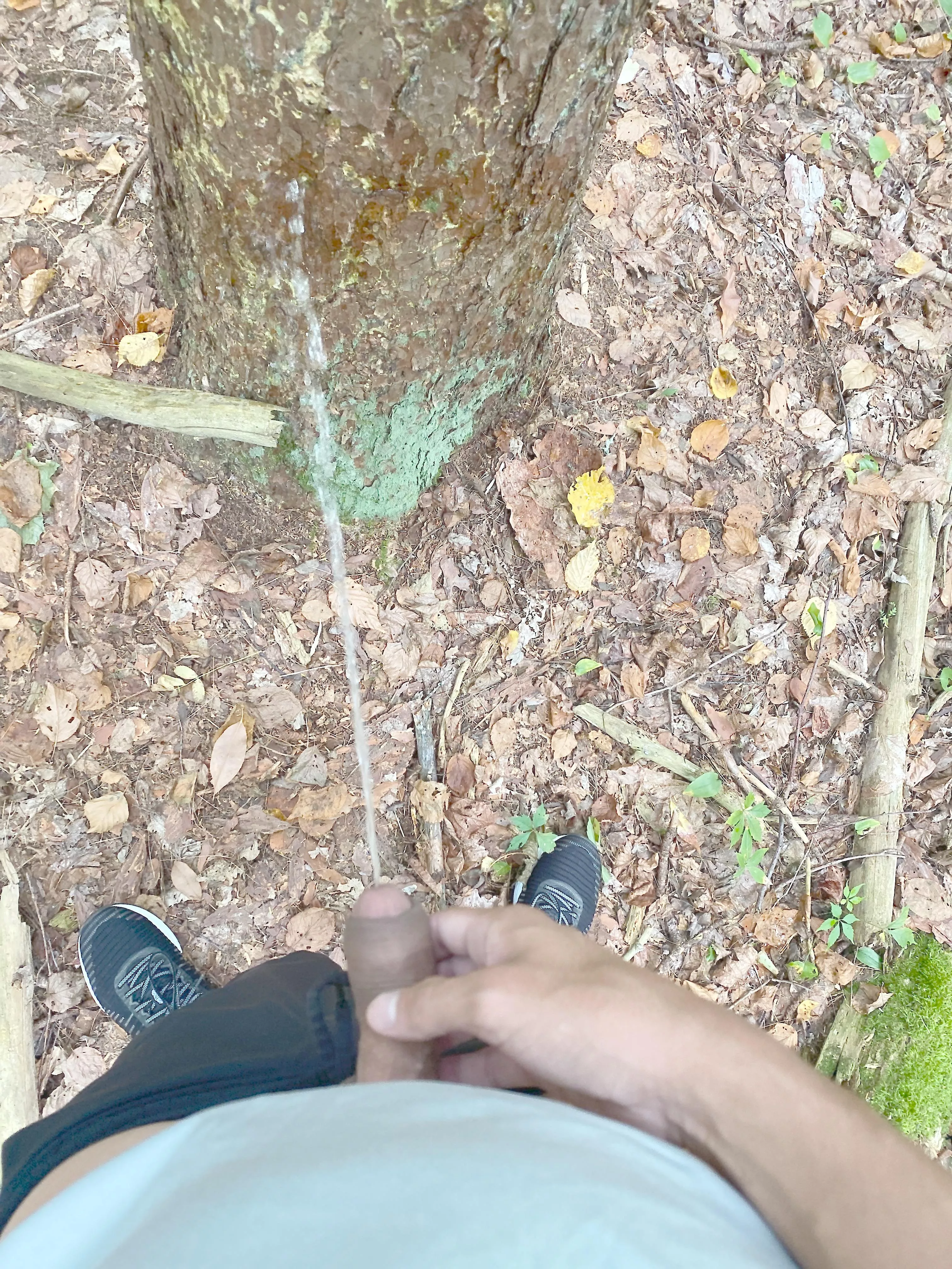 for everyone wanting piss action LOL