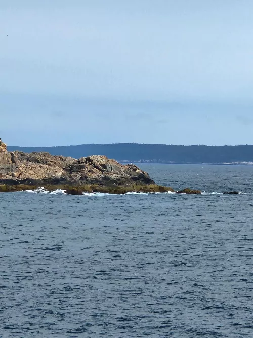 Good morning from Bar Harbor Maine