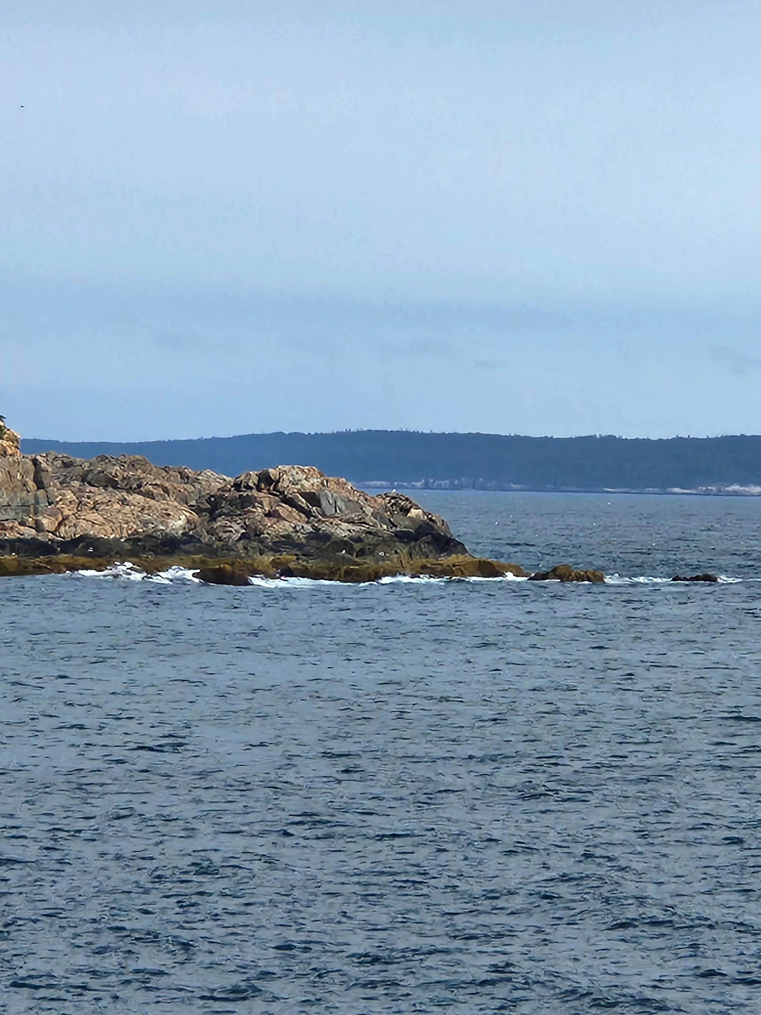 Good morning from Bar Harbor Maine