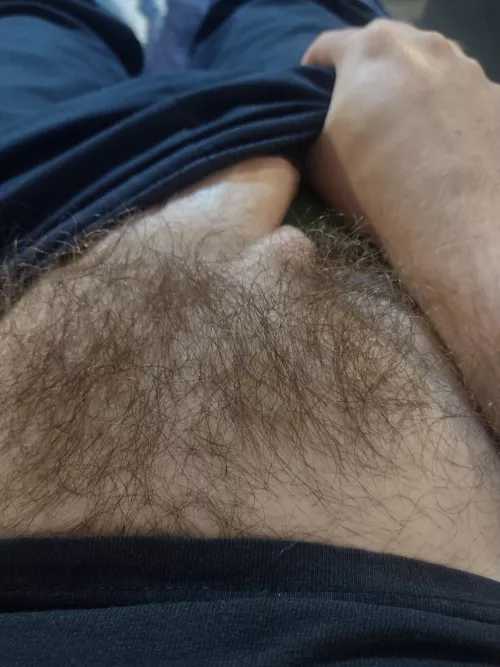 Hows my bush looking?