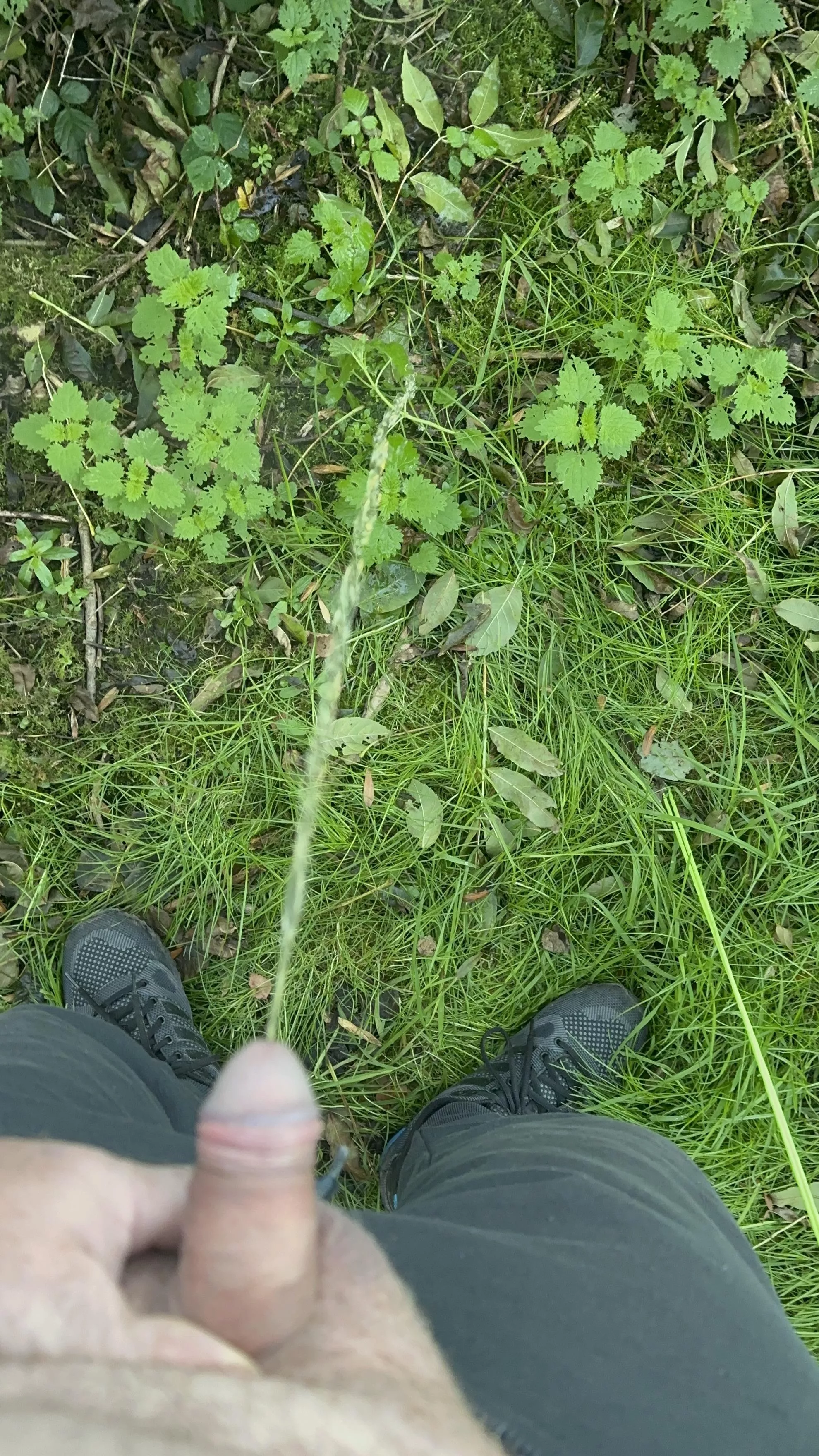 Out in the wild (51)