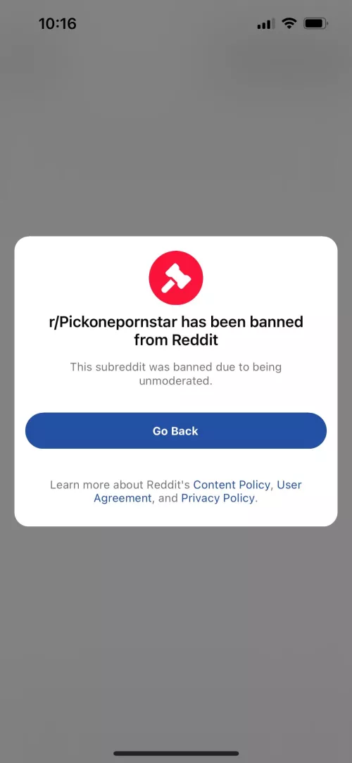 RIP r/PickOnePornstar. Had been messaging that mod for a while to get some things fixed