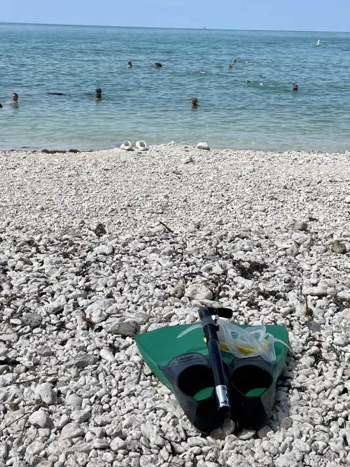 Snorkeling the Keys