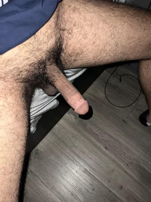 Thick bush and a long cock