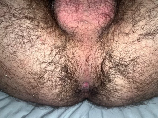 Who would eat this hairy hole out?
